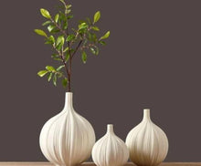Load image into Gallery viewer, The Garlic Bulb Vase